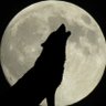 まあ、いろいろと's profile picture
