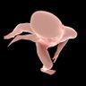 RO ®'s profile picture