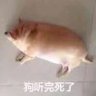空条Q太郎 profil fotoğrafı