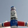 Terrabolista's profile picture