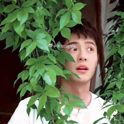 WFmitao0395's profile picture