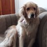 Aurora profil fotoğrafı