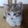のんち profil fotoğrafı