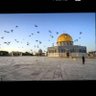 Фото профиля العربي الحر