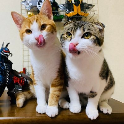 akipapa123's profile picture