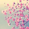 Фото профиля dimitra.k.