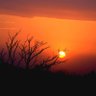 Фото профиля newrayofhope6