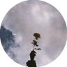 Фото профиля ن