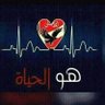 Фото профиля mohamed abd alazez