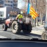 InterinZoo's profile picture