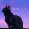 🐈⬛おっと清🐈⬛'s profile picture