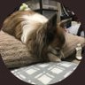 Profilbild von 会長