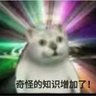 Profilbild von 三千界皇