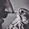 Profilbild von sesq
