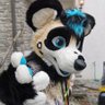 Kiwi @ Cfz's profile picture