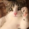 KazUcHaN profil fotoğrafı
