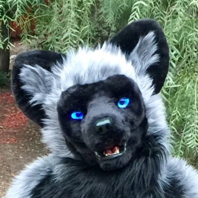 Vox Fox@DenFur's profile picture