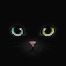 Profilbild von Sugus