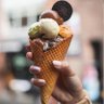 The Maple Scoop 的头像