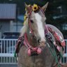 MASAYO profil fotoğrafı