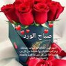 Profilbild von الشامخ 2020