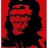Фото профиля Gorilla Radio