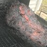 TinCanBBQ 的头像