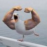 Itchy Meatball's profile picture