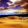 sahm 的头像