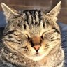 Hiro K's profile picture