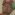 drjeco's profile picture