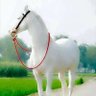 Фото профиля bkudu