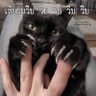 Фото профиля Satt