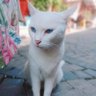 Pan19 profil fotoğrafı