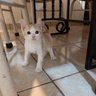 Mixtli profil fotoğrafı