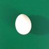 Profilbild von The Knewb 💛🤍💜🖤 (Eggamus Prime)