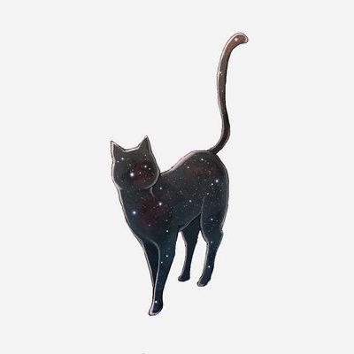 kitten_gravity's profile picture