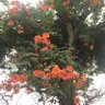 のうぜん【ダイエット奮闘中👹只今−10kg更新中🙌】 profil fotoğrafı