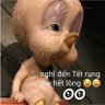 Profilbild von AnhLe