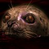 Seal of the Apocalypse's profile picture