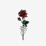 Azza_mostafa 的头像