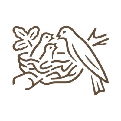 Nestle's profile picture