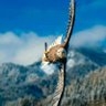 Waseem Abbas profil fotoğrafı