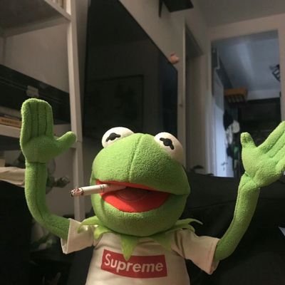 luoqi_desire's profile picture