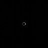 Profilbild von Grass