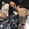 krol_dyktator's profile picture