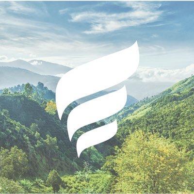 new_fortress's profile picture