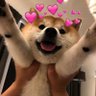 zyne's profile picture