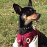 HTTR's profile picture