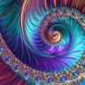 Fracticality profil fotoğrafı